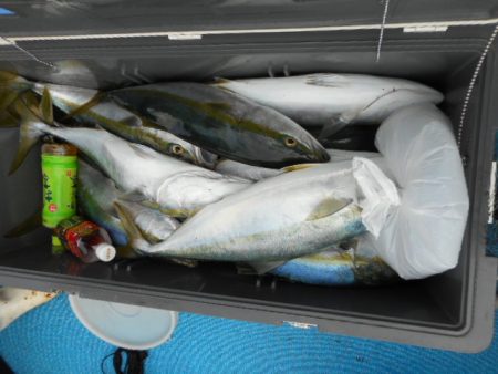 星龍丸 釣果