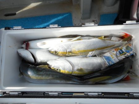 星龍丸 釣果