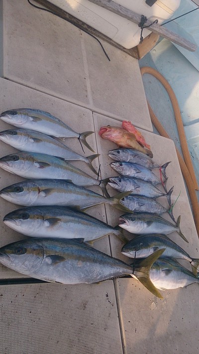 旭星釣りセンター 釣果