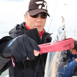 松本釣船２ 釣果