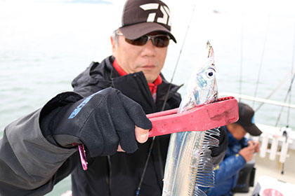 松本釣船２ 釣果