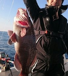 海龍丸（福岡） 釣果