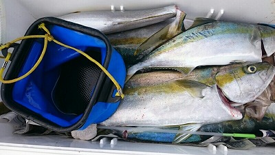 海龍丸（福岡） 釣果