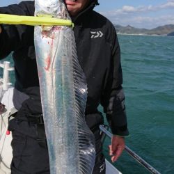 オーフリー 釣果