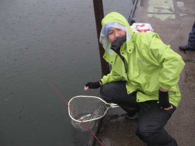 吉羽園 釣果