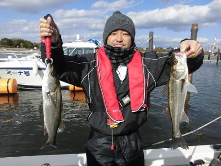 ルアー船マヒマヒ 釣果