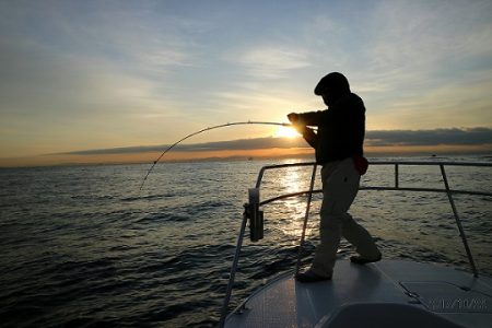 フルコンタクト 釣果