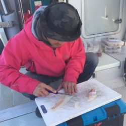 マタウマリンサービス 釣果