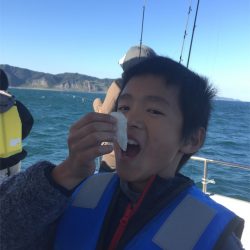 マタウマリンサービス 釣果