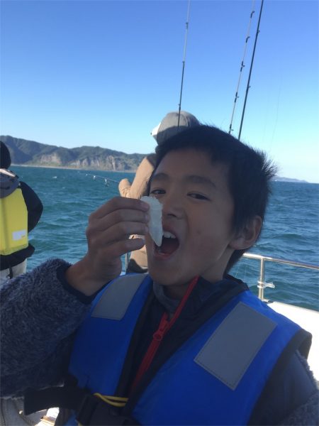 マタウマリンサービス 釣果