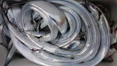 オーフリー 釣果