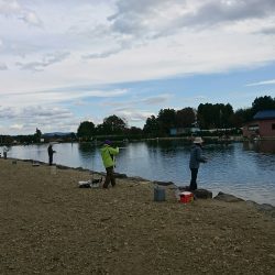 みどりフィッシングエリア 釣果