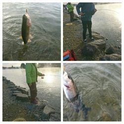 みどりフィッシングエリア 釣果