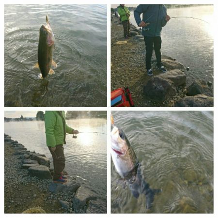 みどりフィッシングエリア 釣果