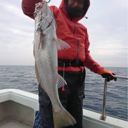 マタウマリンサービス 釣果