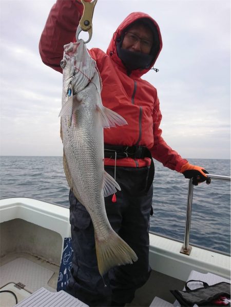 マタウマリンサービス 釣果