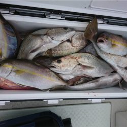 マタウマリンサービス 釣果