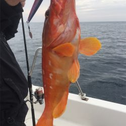 マタウマリンサービス 釣果