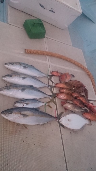 旭星釣りセンター 釣果