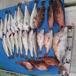 秀丸 釣果