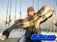 オーシャンマスター 釣果