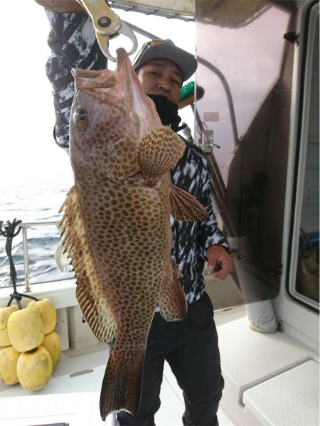 マタウマリンサービス 釣果