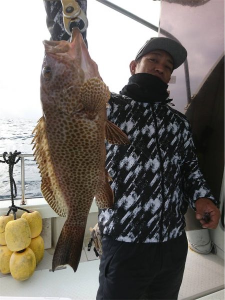 マタウマリンサービス 釣果