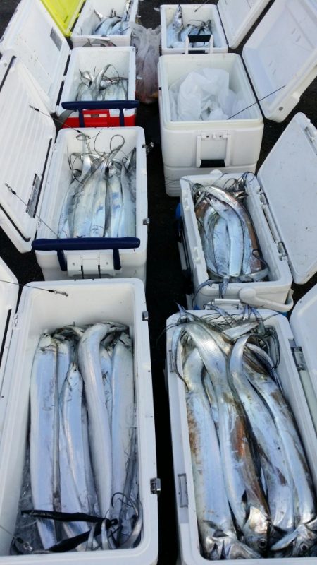 オーフリー 釣果