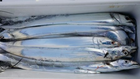 オーフリー 釣果