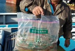 舵丸 釣果