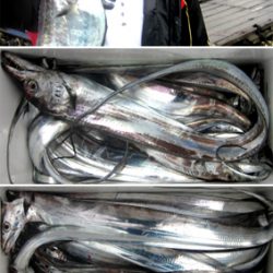 来温丸(らいおんまる) 釣果