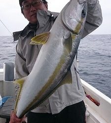 海龍丸(福岡) 釣果