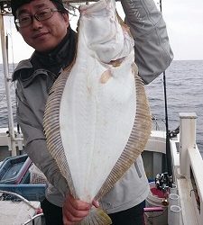 海龍丸(福岡) 釣果