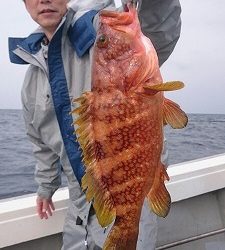 海龍丸(福岡) 釣果