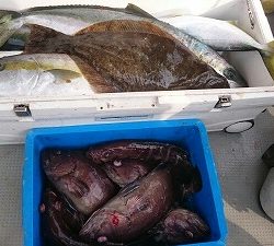 海龍丸(福岡) 釣果