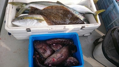 海龍丸(福岡) 釣果