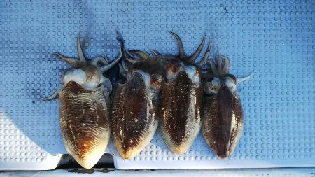 第二常豊丸 釣果