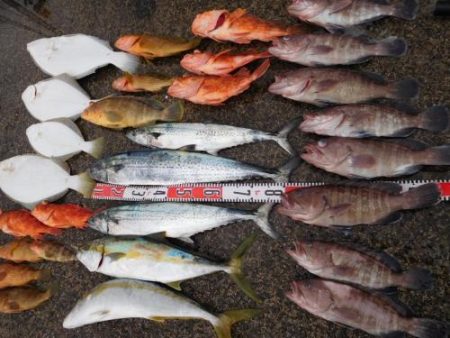 第二一之紀丸(ダイニイチノキマル) 釣果