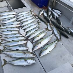 寿裕 （YOSHIHIRO） 釣果