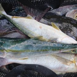 伊豆下田フィッシング 釣果