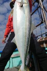 伊豆下田フィッシング 釣果