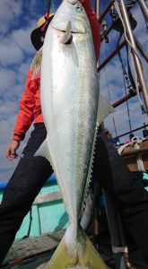 伊豆下田フィッシング 釣果
