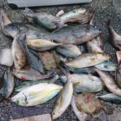 伊豆下田フィッシング 釣果