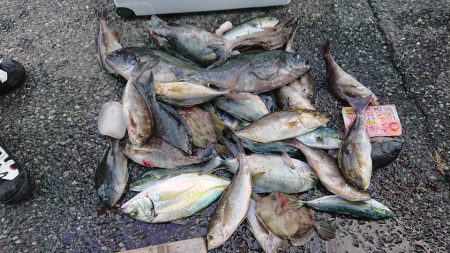 伊豆下田フィッシング 釣果