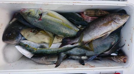 伊豆下田フィッシング 釣果