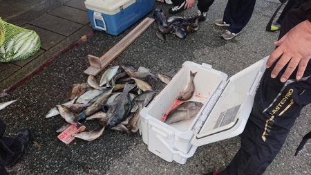 伊豆下田フィッシング 釣果