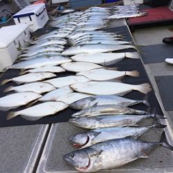 幸風（さちかぜ） 釣果