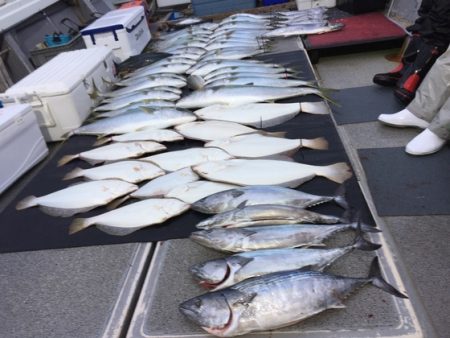 幸風（さちかぜ） 釣果