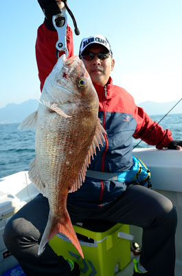 Marine T Design　マリンティ…