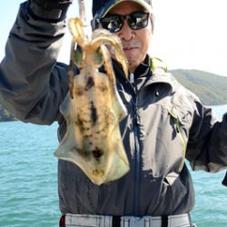 Marine T Design マリンティーデザイン 釣果